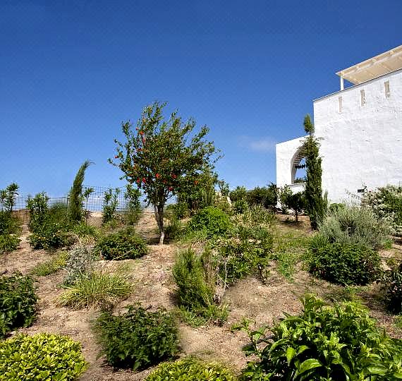 Naxos Kalimera Apartments